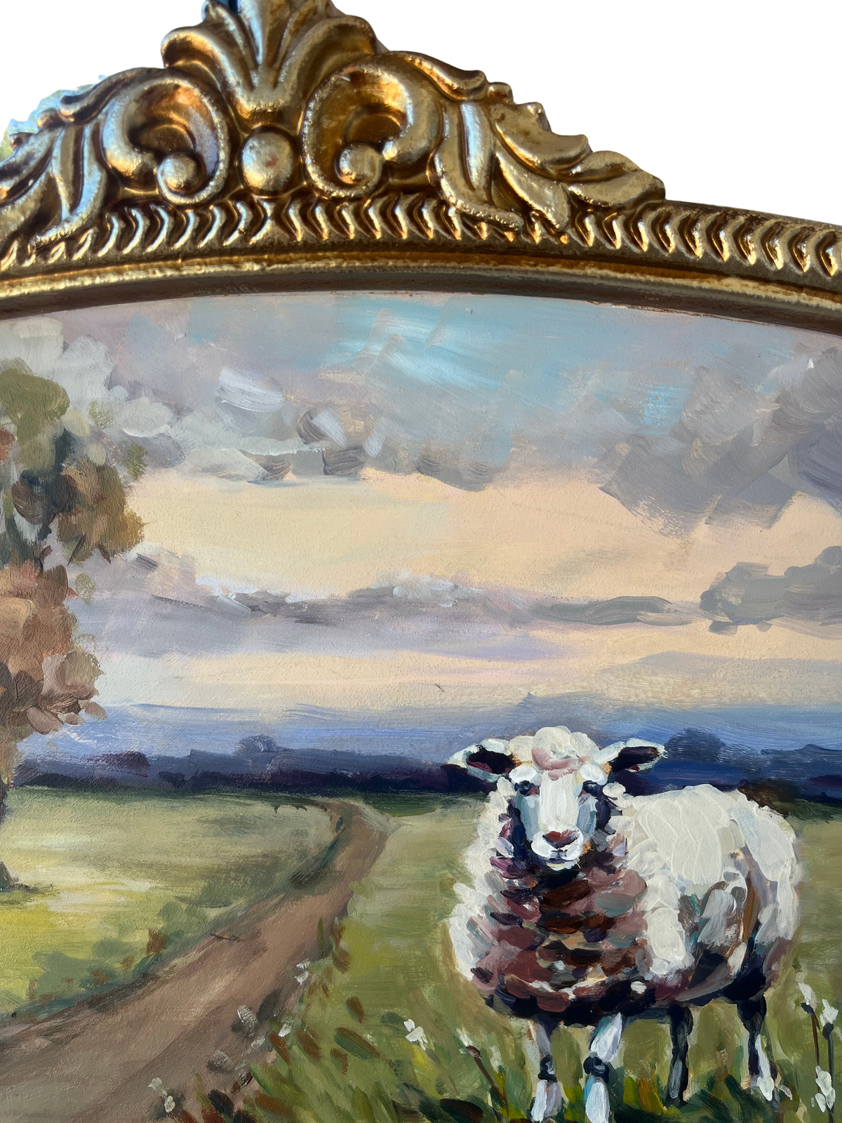 Sheepish