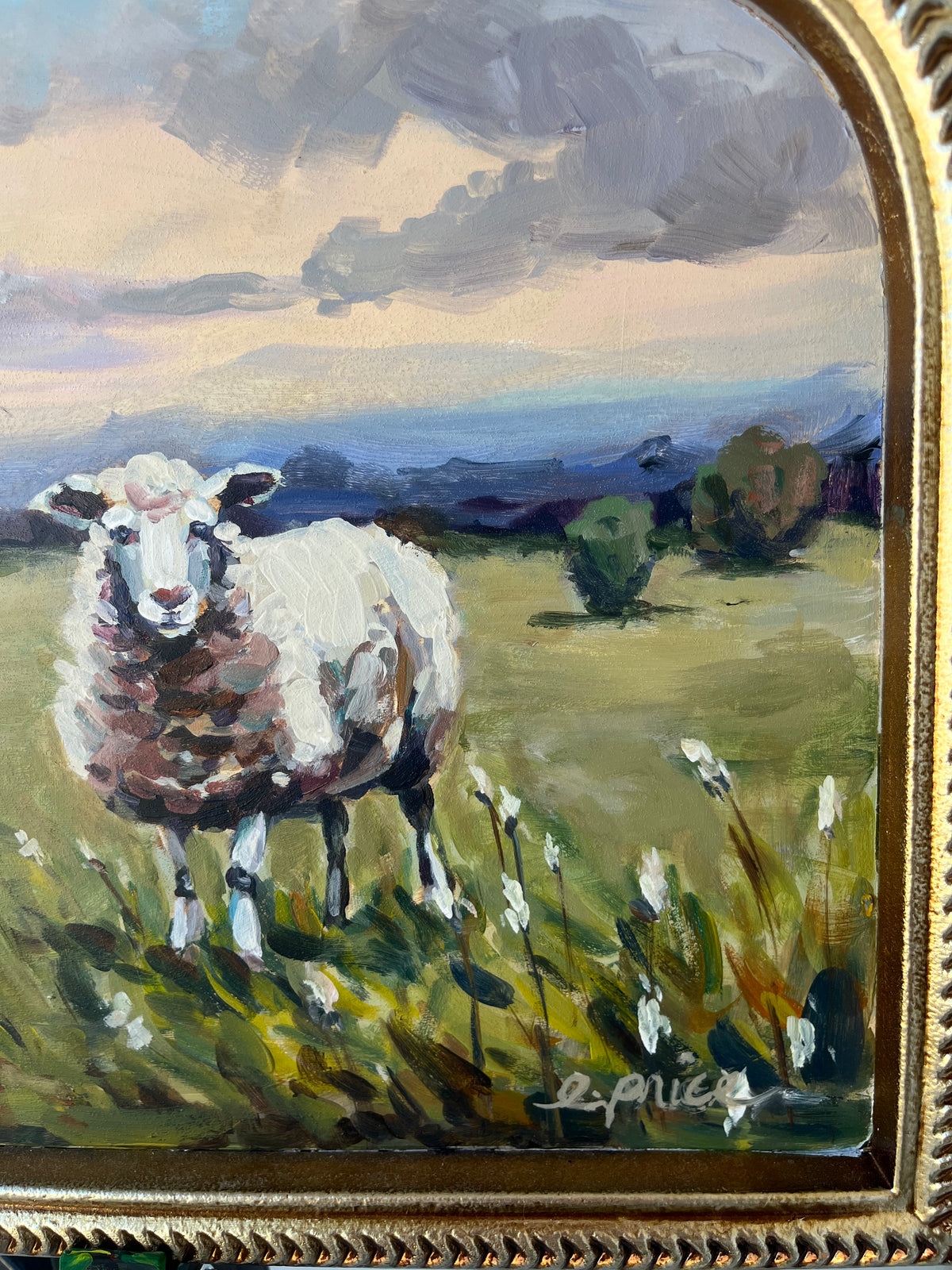 Sheepish